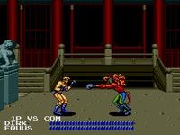 une photo d'Ã©cran de Fighting Masters sur Sega Megadrive